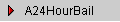 A24HourBail